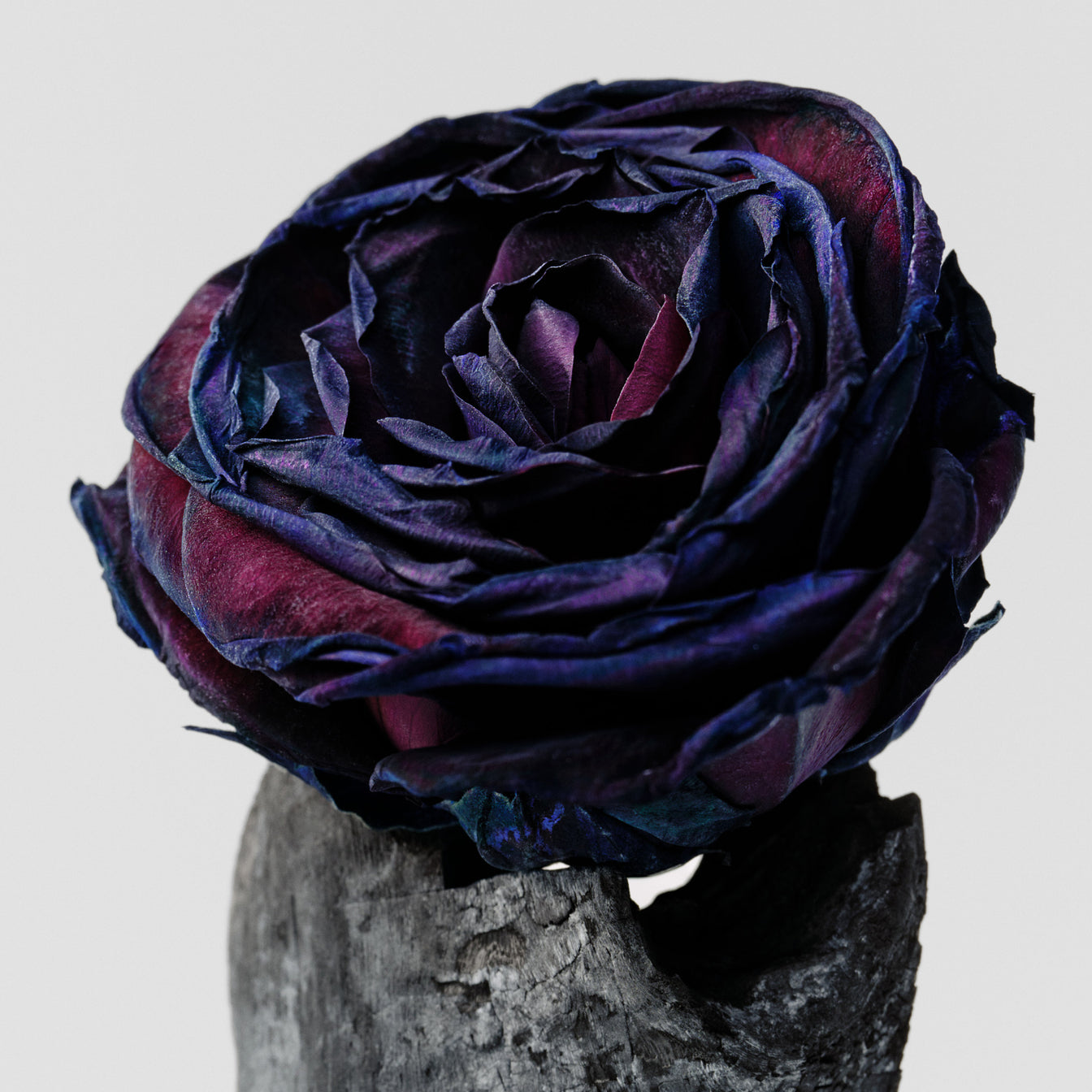 Acqua profumata corpo – Rosa Nera & Oud