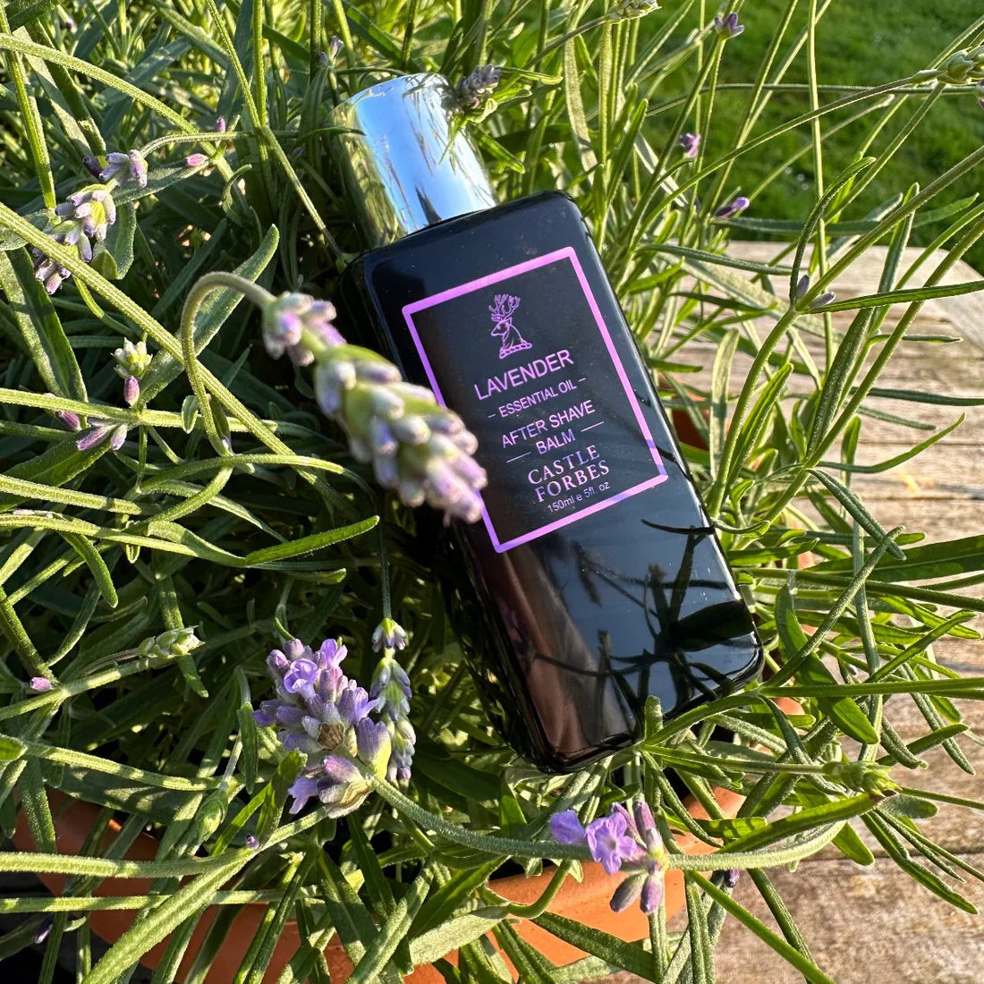 Castle Forbes Aftershave Balm – Lavender
